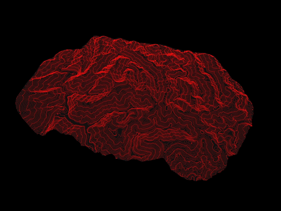 videoframe_2239.png